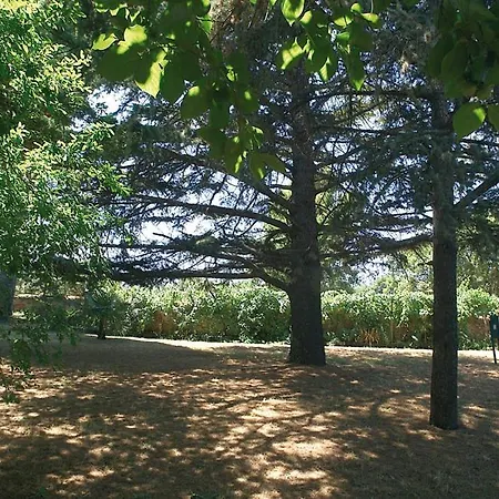 Ranch Hotel 3*